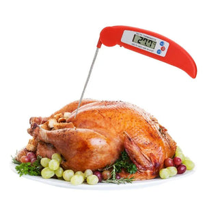 Digital Calibration Foldable Thermometer